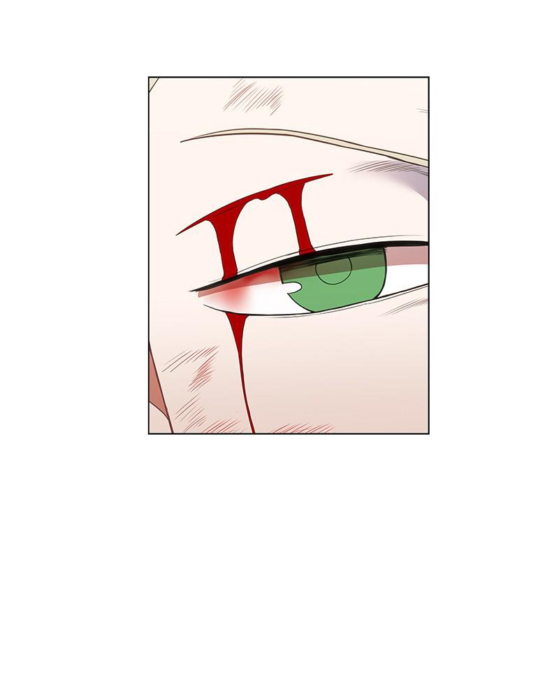 Read The Boxer (en) Manga Online