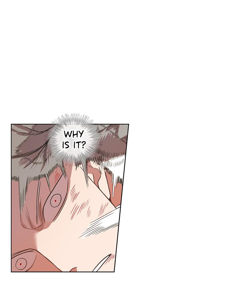 Read The Boxer (en) Manga Online