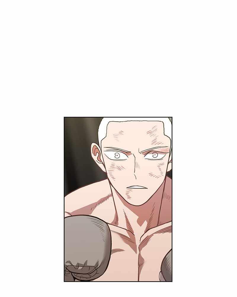 Read The Boxer (en) Manga Online