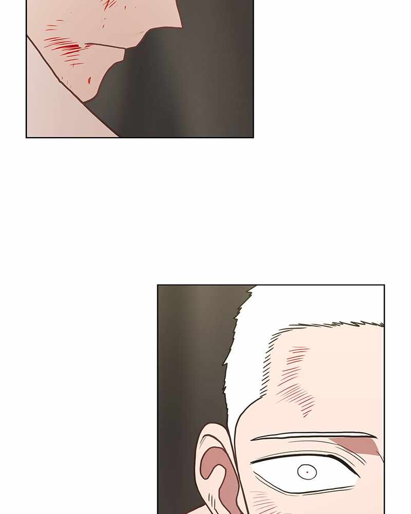 Read The Boxer (en) Manga Online