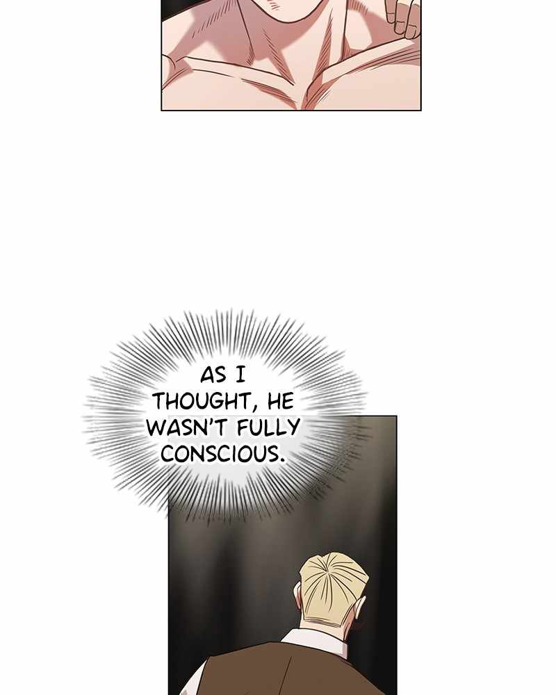 Read The Boxer (en) Manga Online