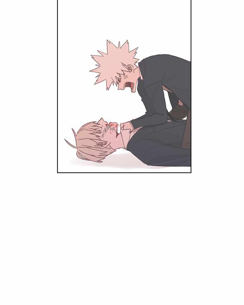 Read The Boxer (en) Manga Online