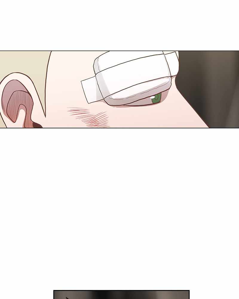 Read The Boxer (en) Manga Online