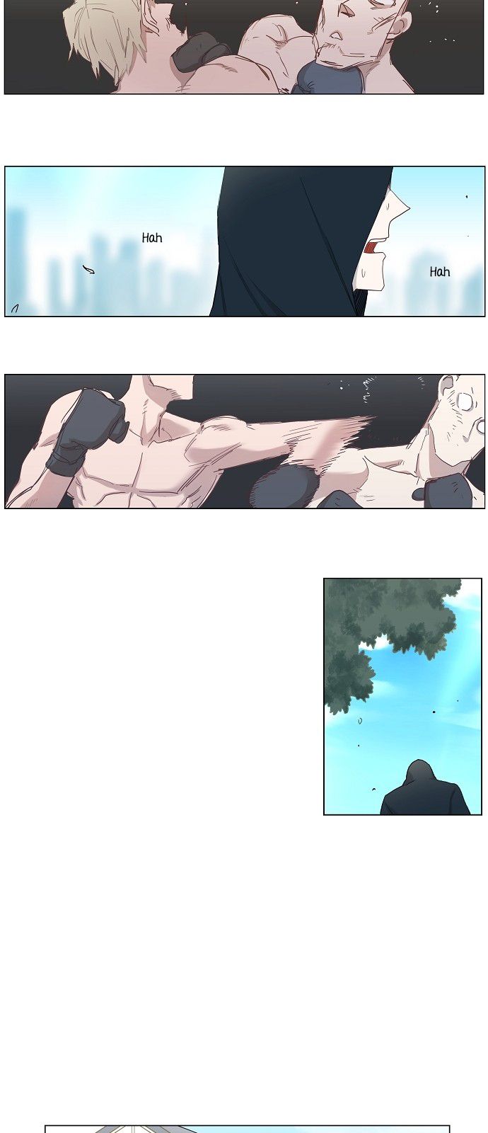 Read The Boxer (en) Manga Online