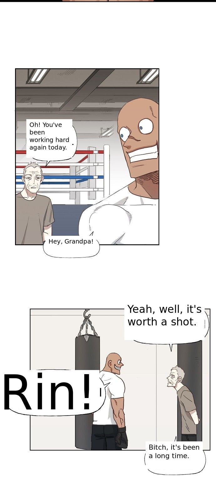 Read The Boxer (en) Manga Online