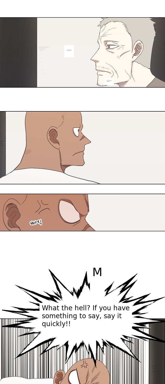 Read The Boxer (en) Manga Online