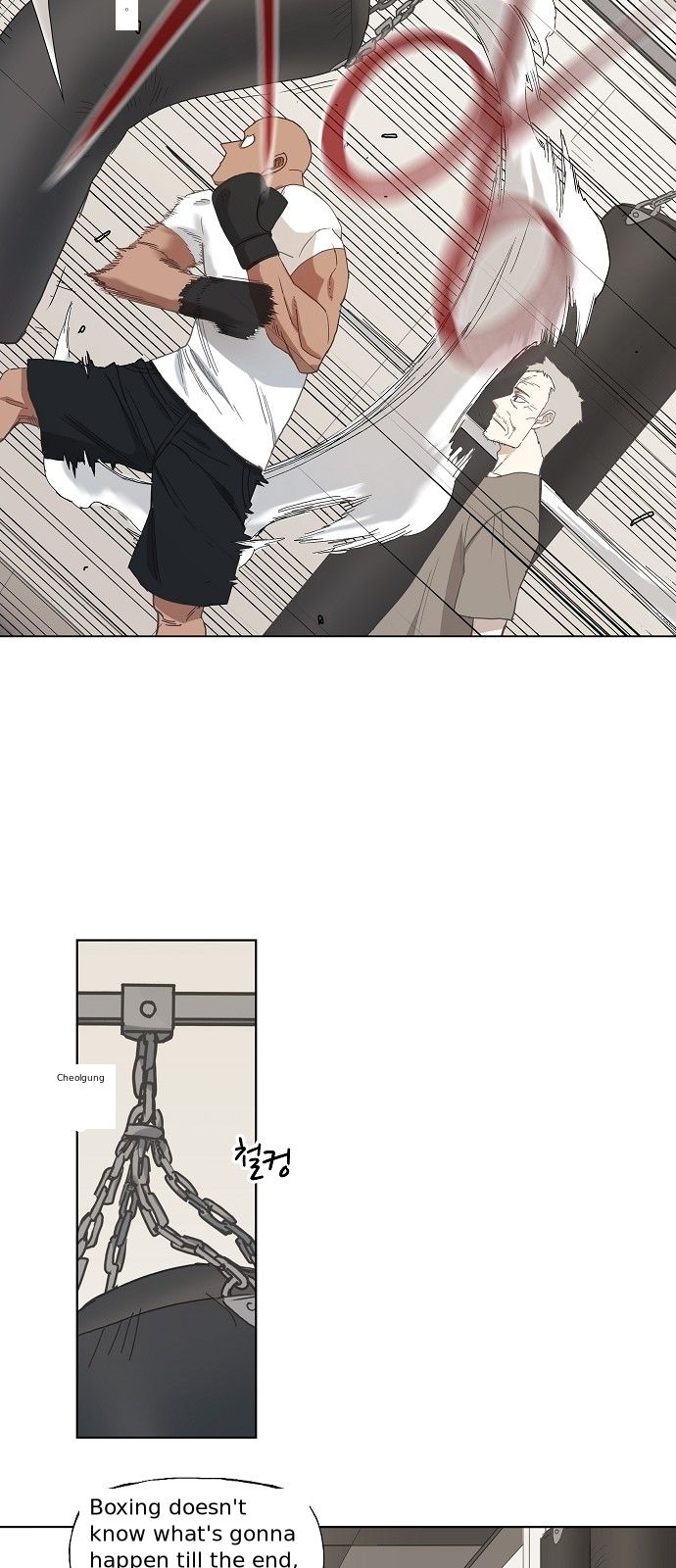 Read The Boxer (en) Manga Online