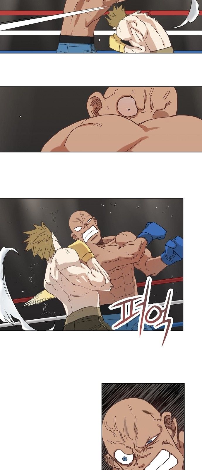 Read The Boxer (en) Manga Online