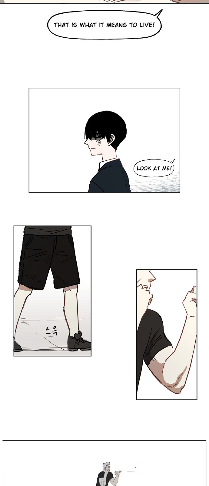 Read The Boxer (en) Manga Online