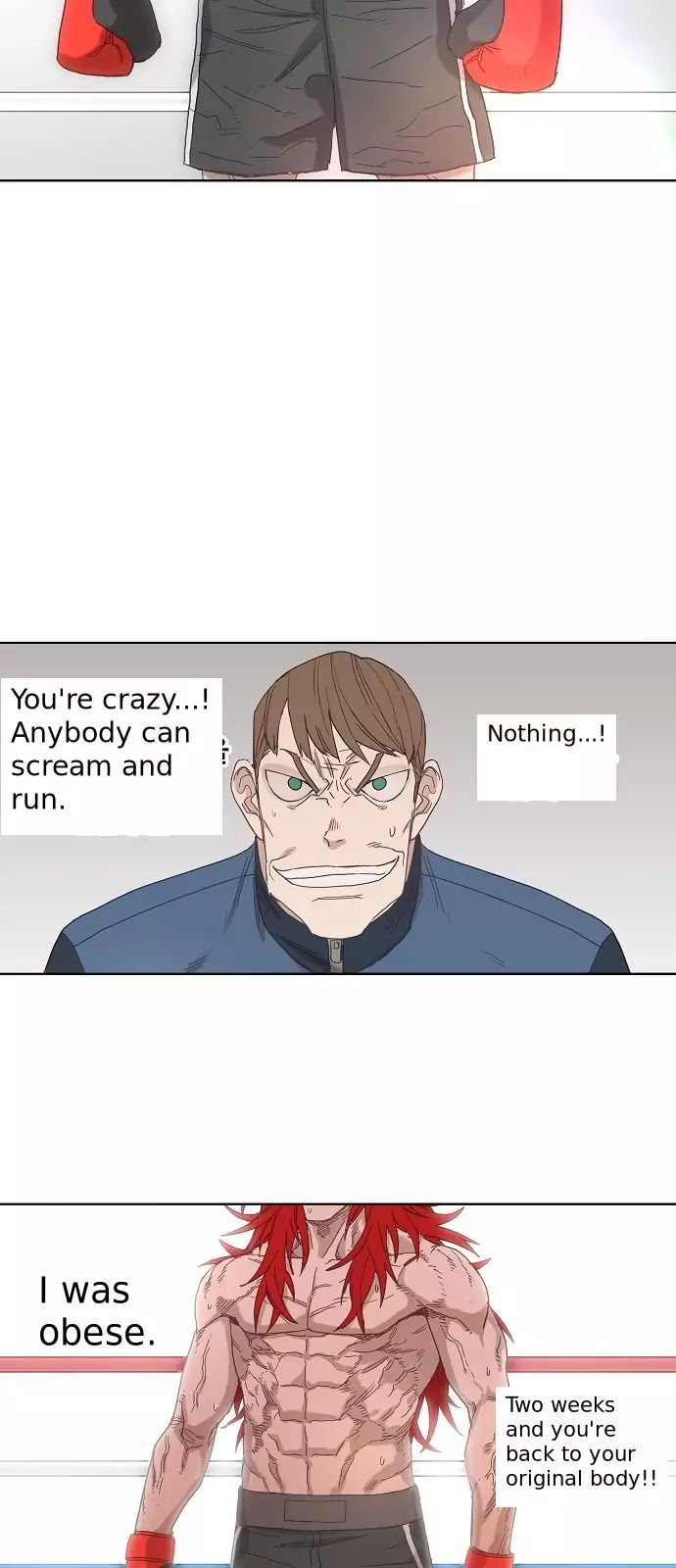 Read The Boxer (en) Manga Online