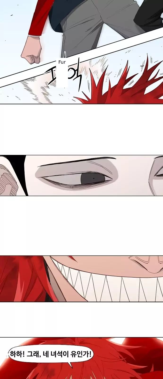 Read The Boxer (en) Manga Online