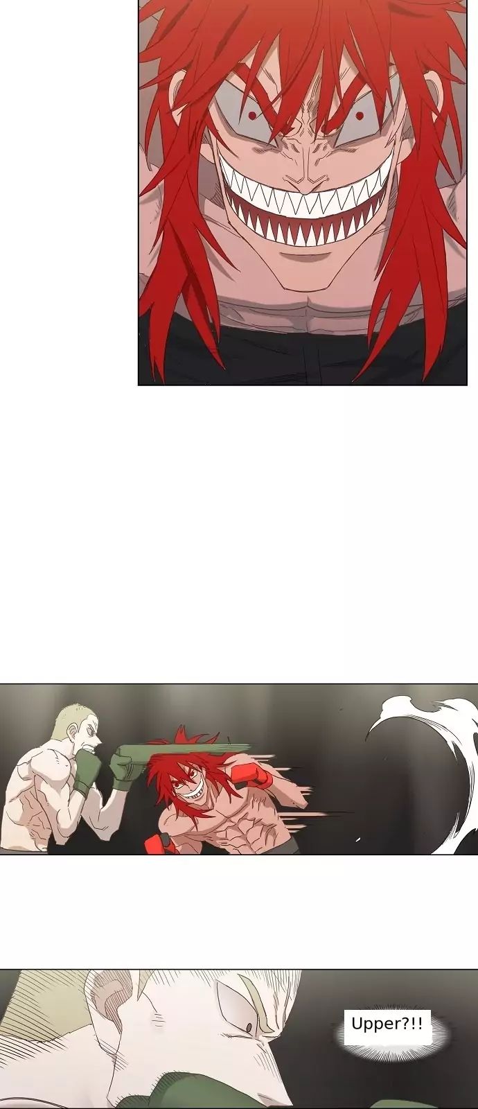 Read The Boxer (en) Manga Online