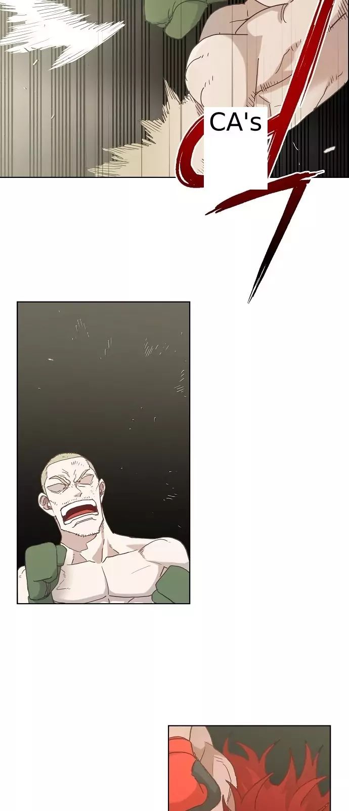 Read The Boxer (en) Manga Online