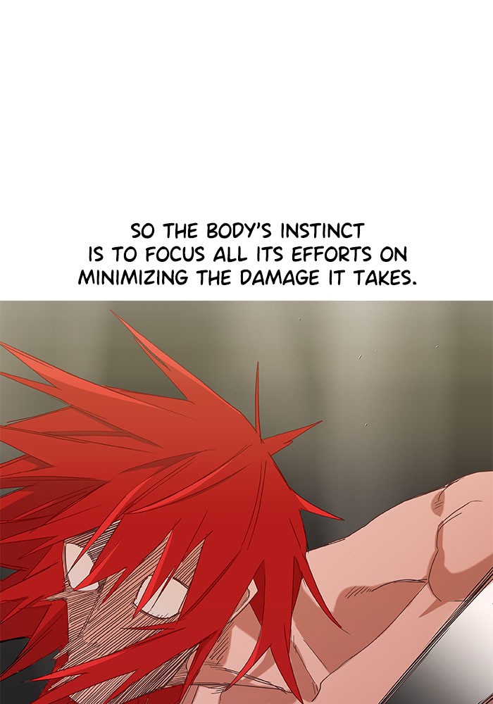 Read The Boxer (en) Manga Online