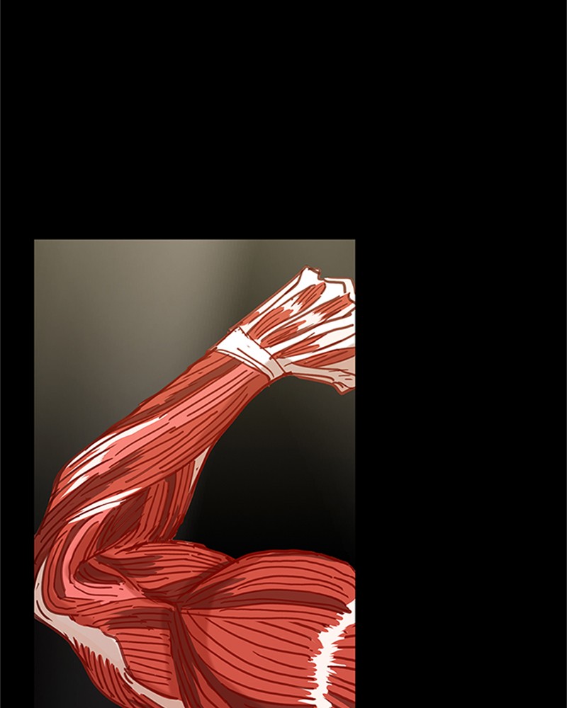 Read The Boxer (en) Manga Online