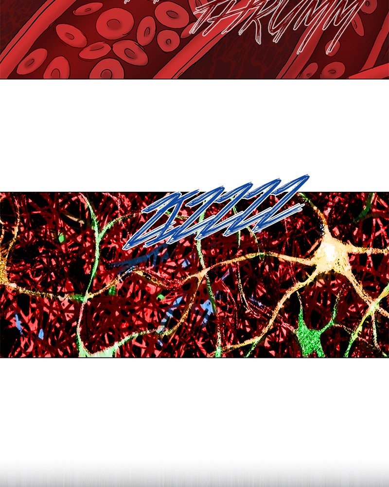 Read The Boxer (en) Manga Online