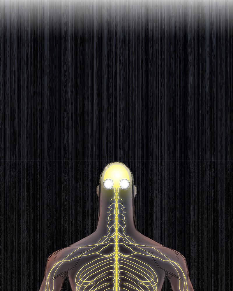 Read The Boxer (en) Manga Online