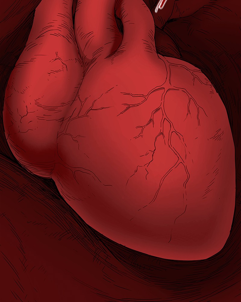 Read The Boxer (en) Manga Online