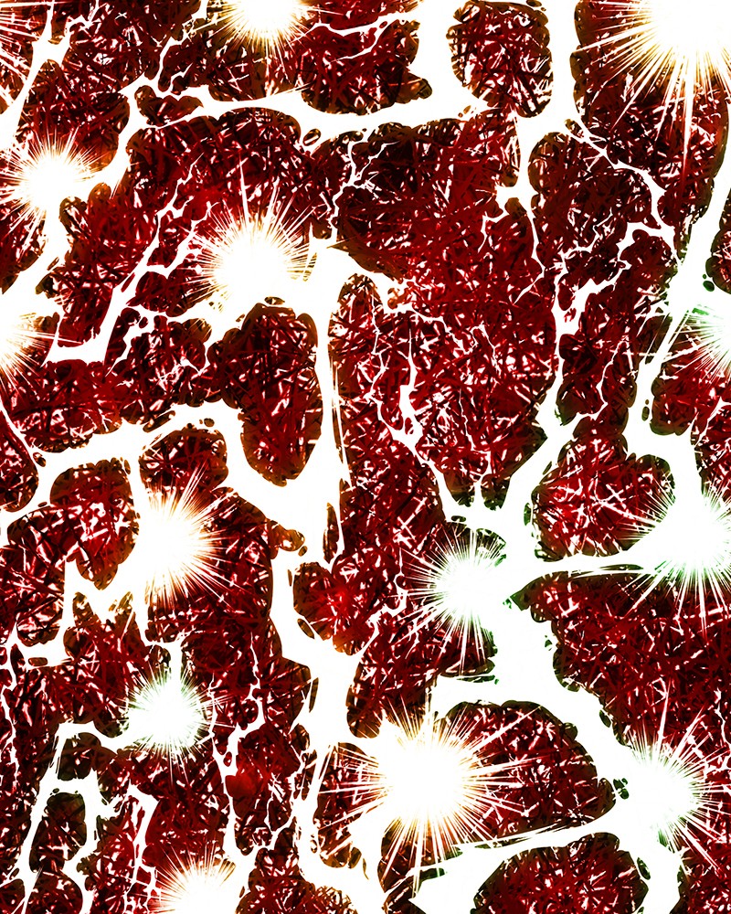 Read The Boxer (en) Manga Online