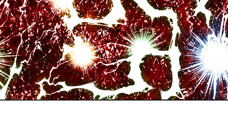 Read The Boxer (en) Manga Online