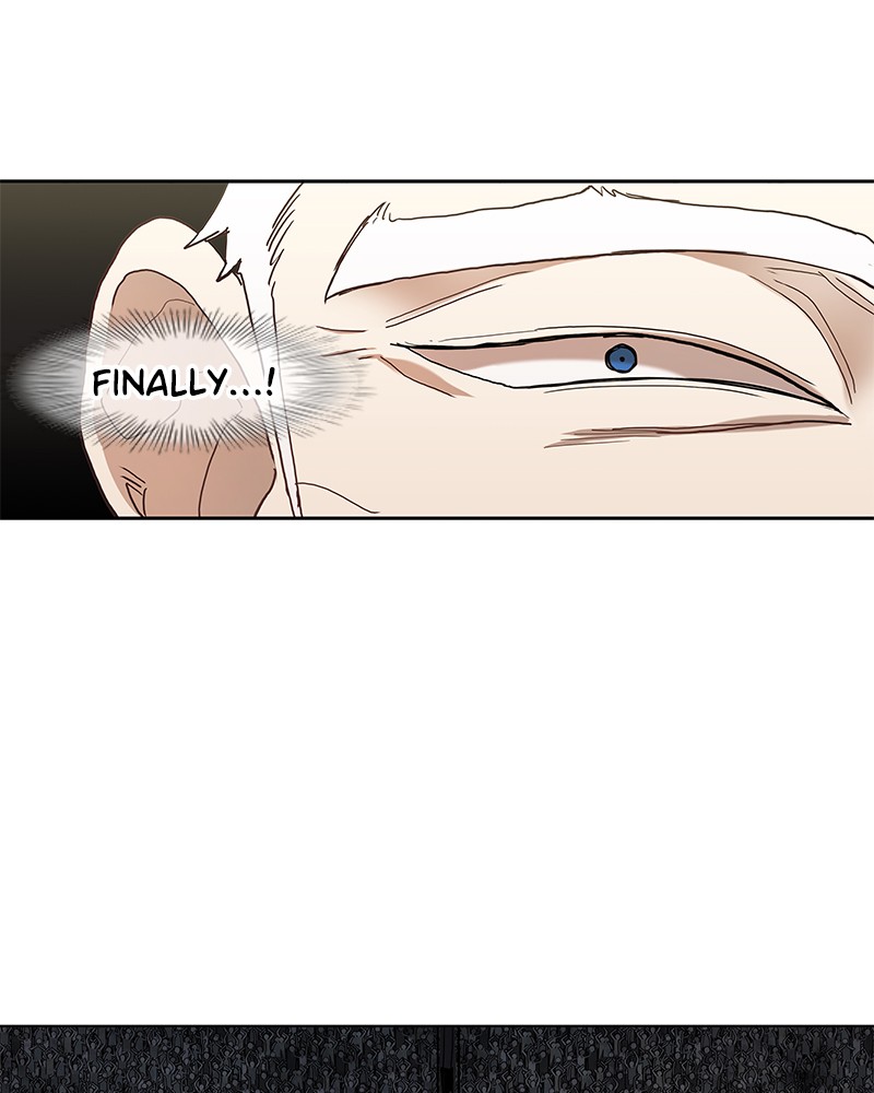 Read The Boxer (en) Manga Online