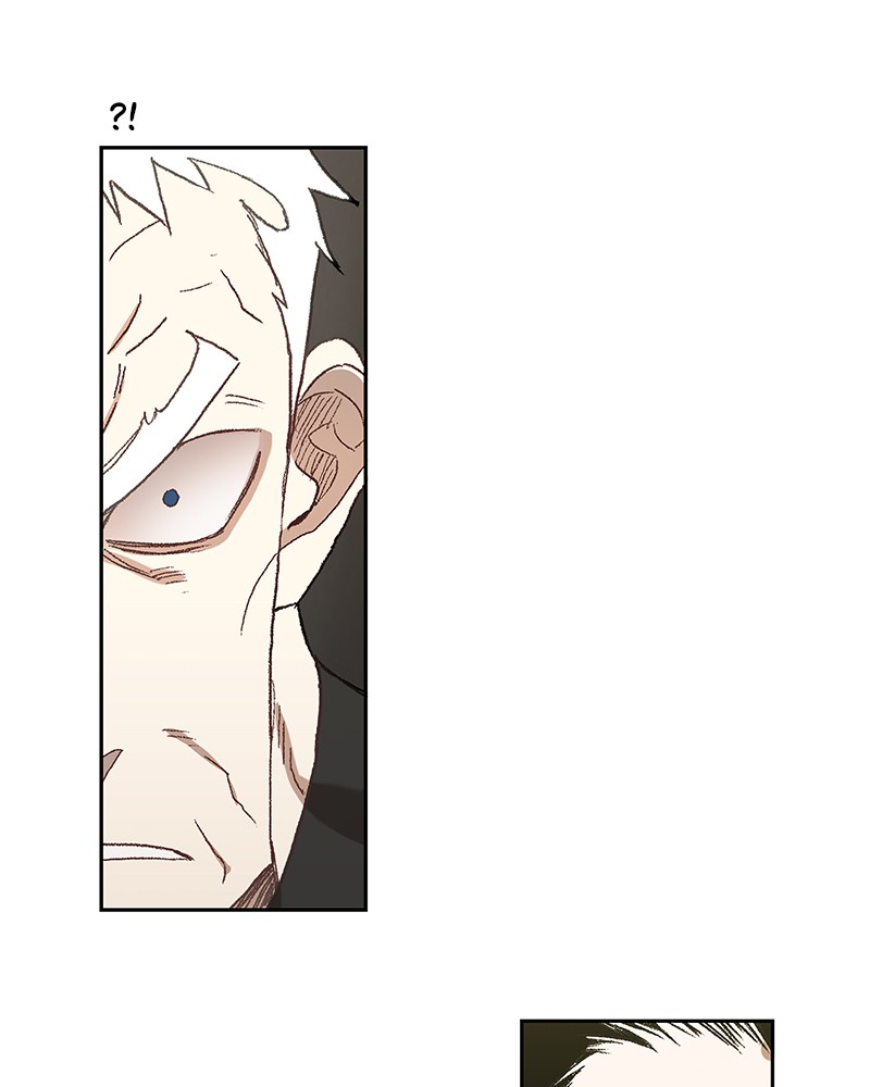 Read The Boxer (en) Manga Online