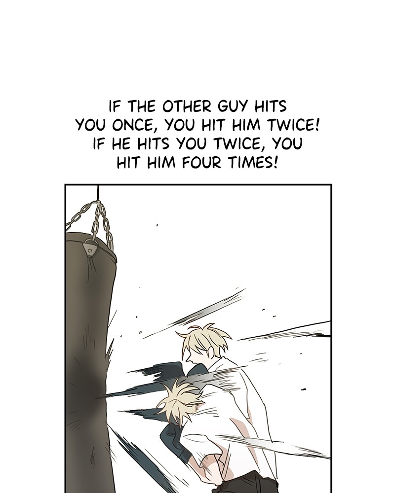 Read The Boxer (en) Manga Online