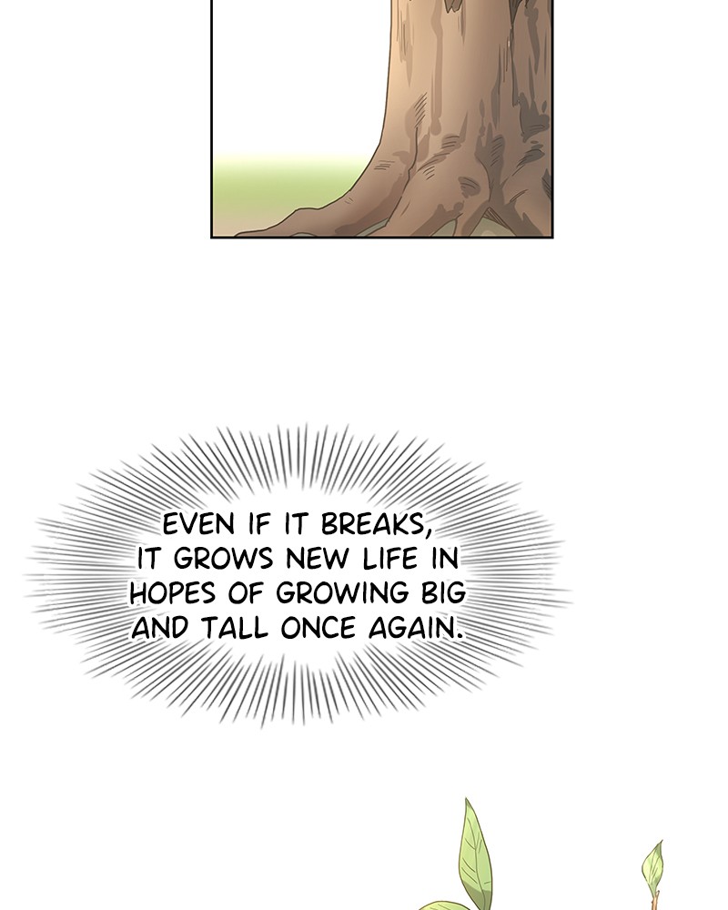 Read The Boxer (en) Manga Online