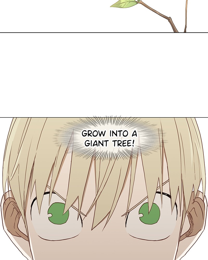 Read The Boxer (en) Manga Online