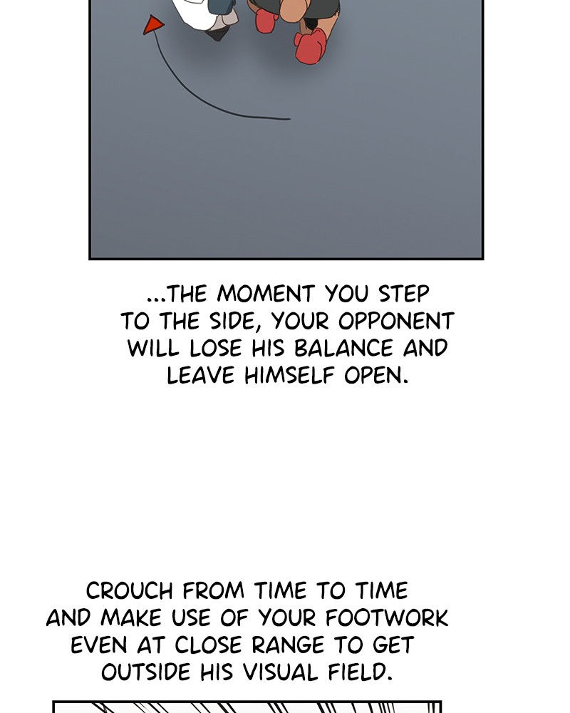 Read The Boxer (en) Manga Online