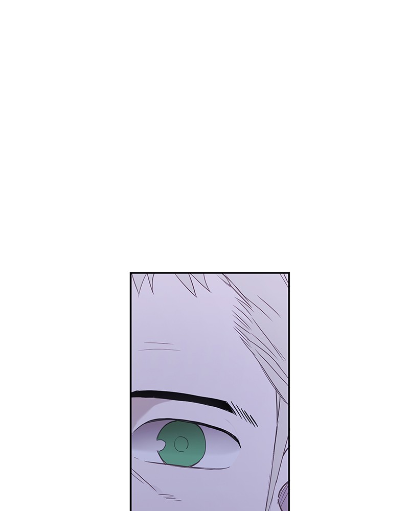 Read The Boxer (en) Manga Online