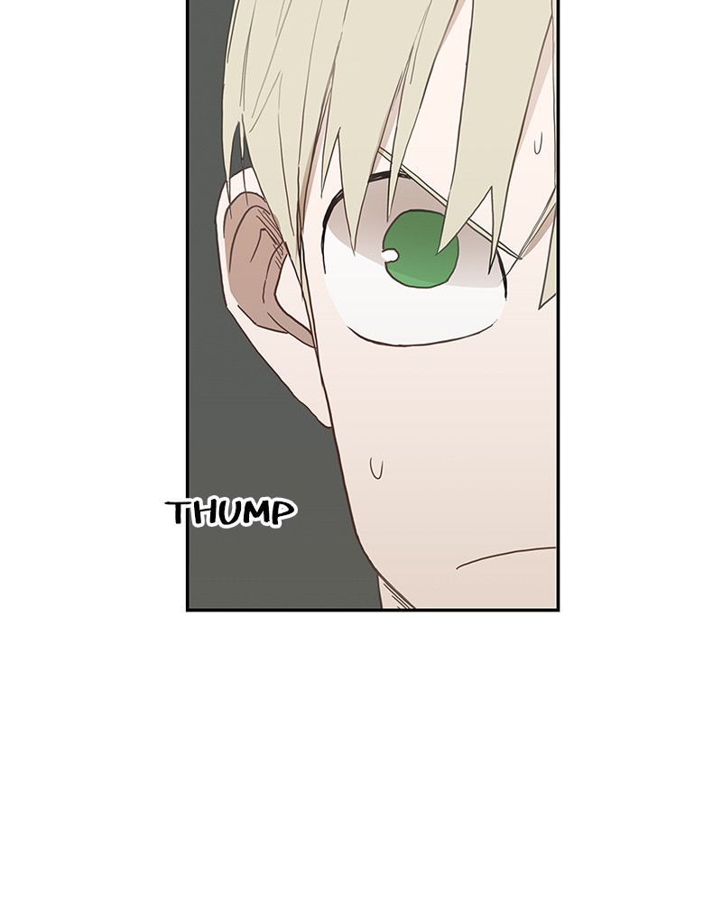 Read The Boxer (en) Manga Online