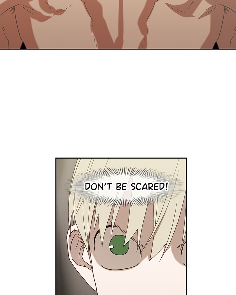 Read The Boxer (en) Manga Online