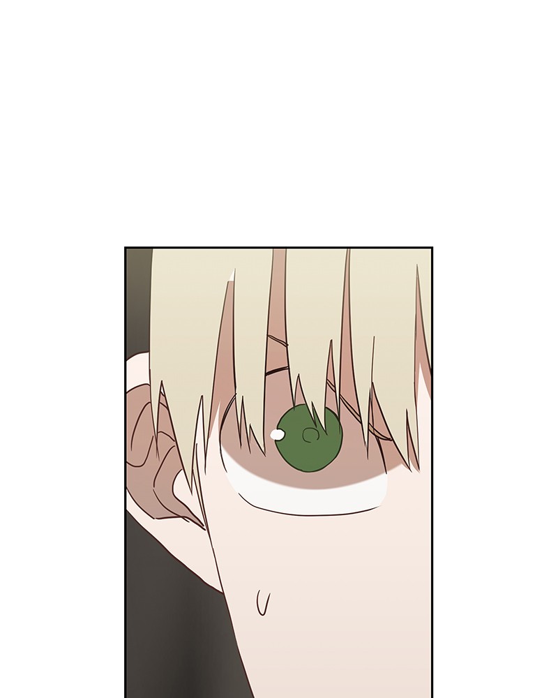 Read The Boxer (en) Manga Online