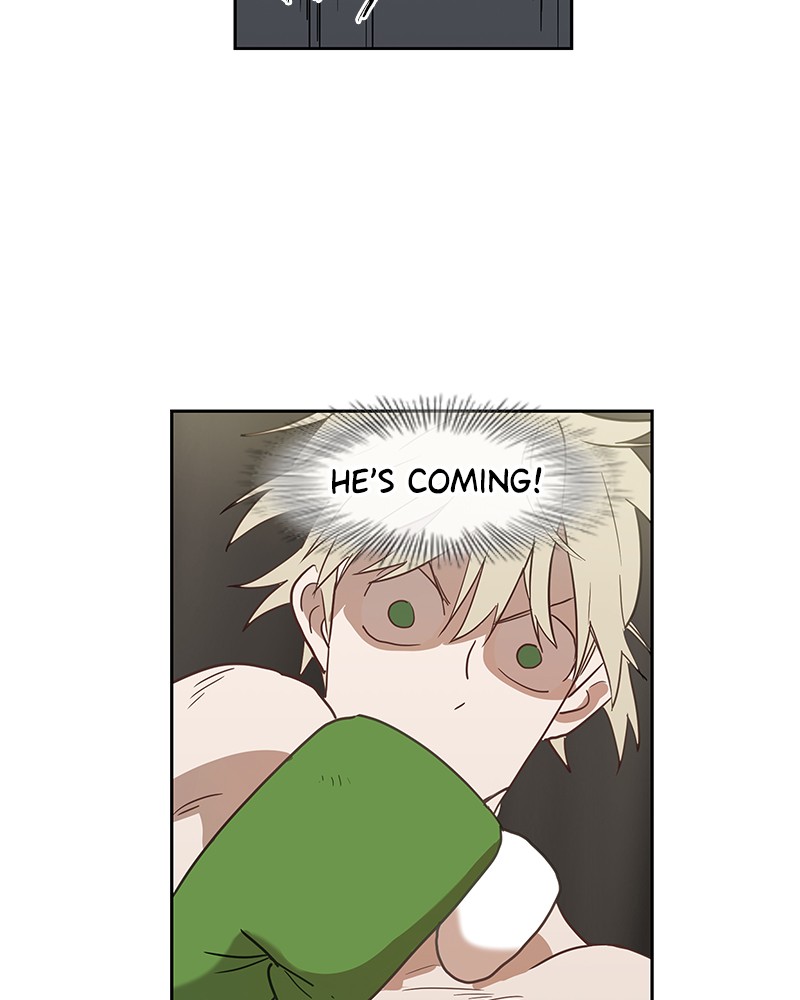 Read The Boxer (en) Manga Online