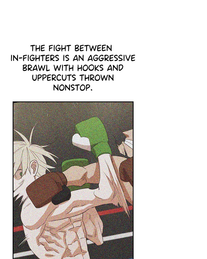 Read The Boxer (en) Manga Online