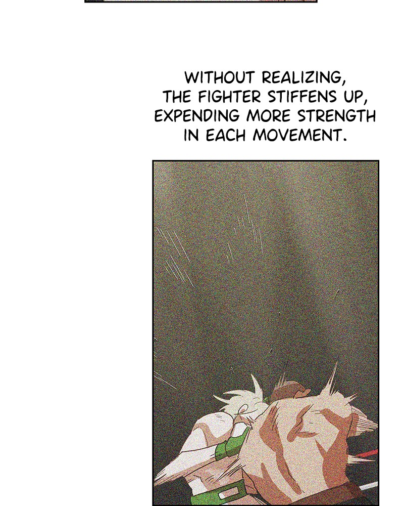 Read The Boxer (en) Manga Online