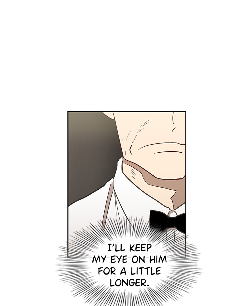 Read The Boxer (en) Manga Online