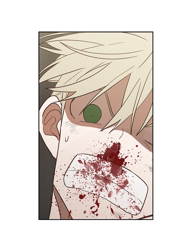 Read The Boxer (en) Manga Online