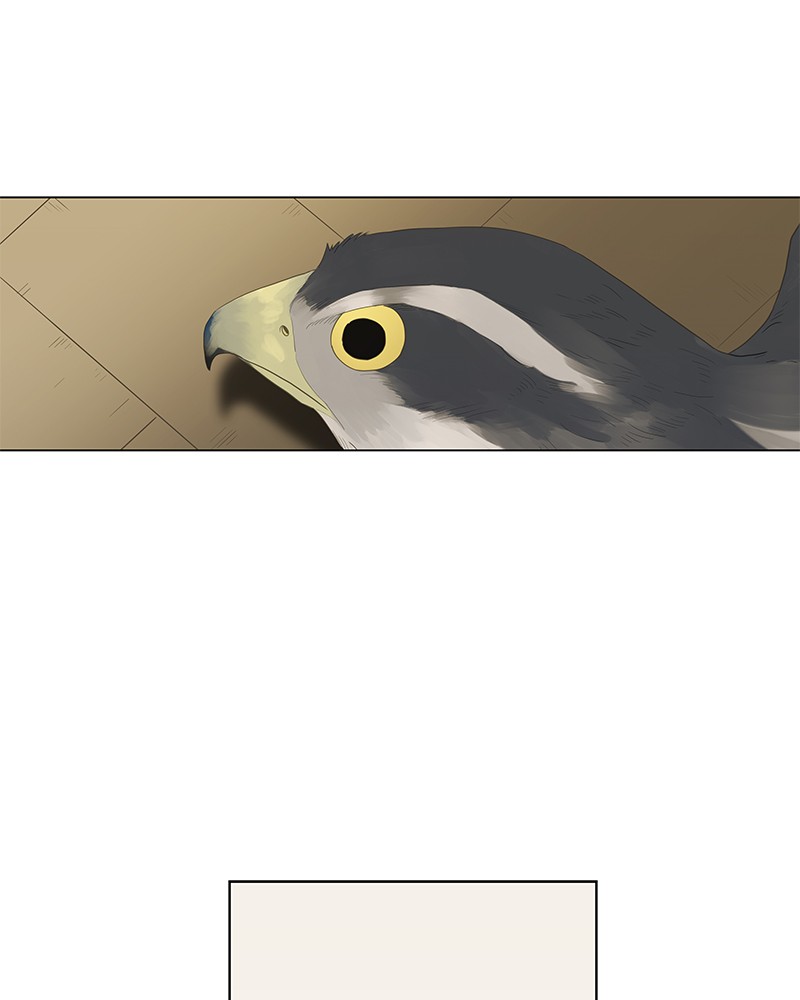 Read The Boxer (en) Manga Online