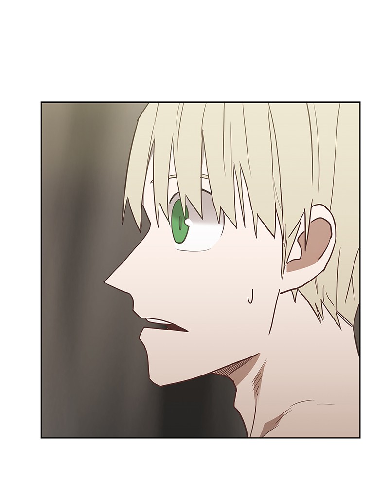 Read The Boxer (en) Manga Online