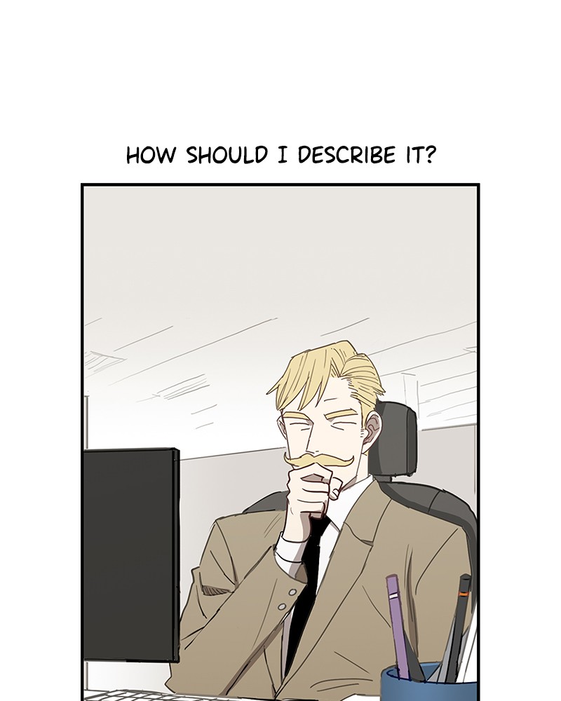 Read The Boxer (en) Manga Online