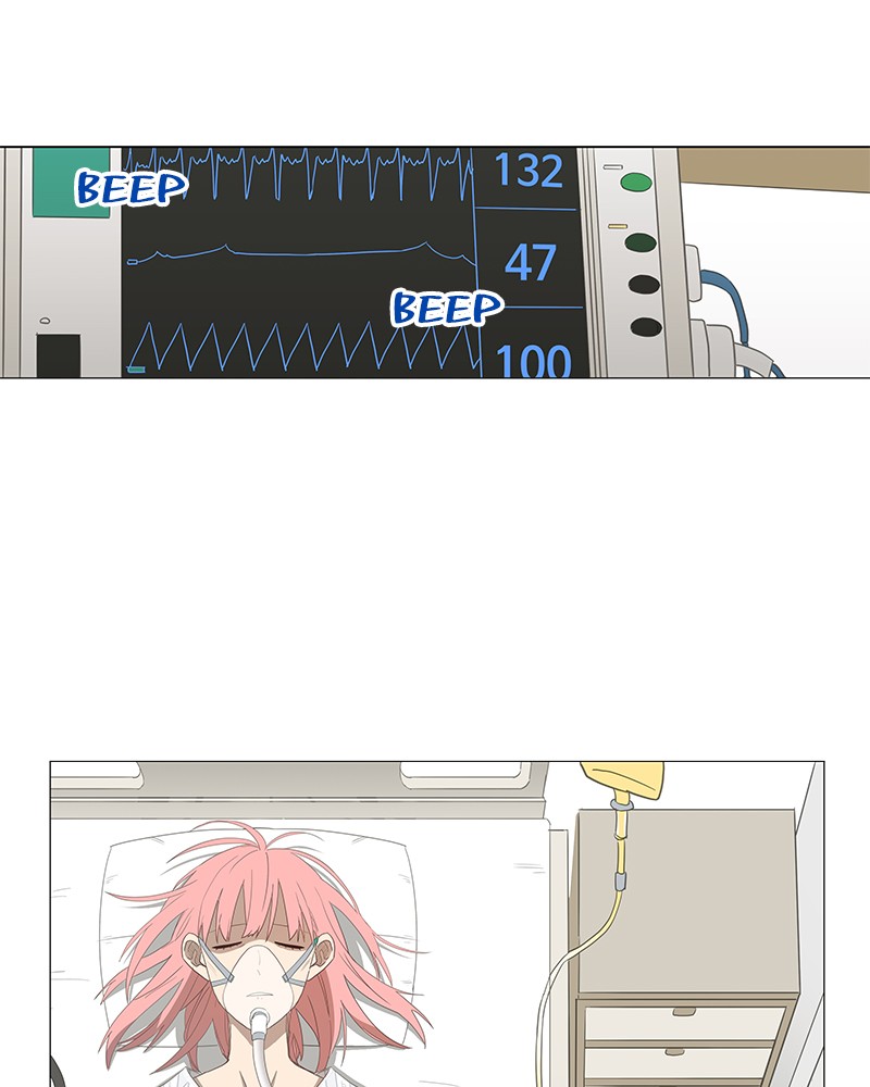 Read The Boxer (en) Manga Online