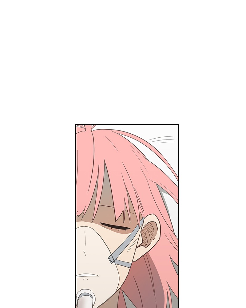 Read The Boxer (en) Manga Online