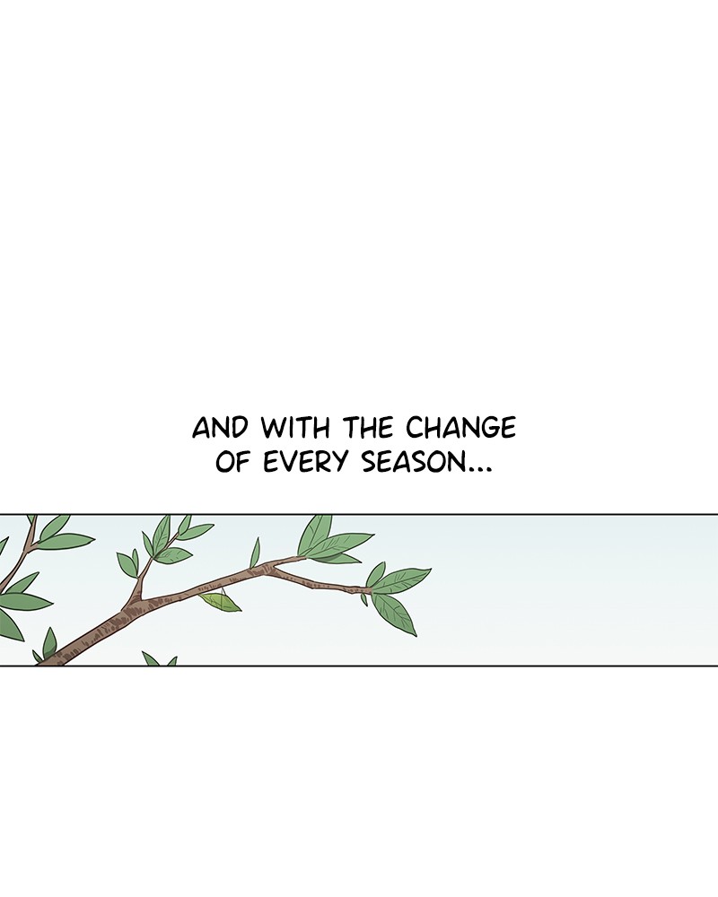 Read The Boxer (en) Manga Online