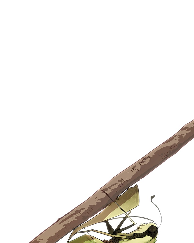 Read The Boxer (en) Manga Online