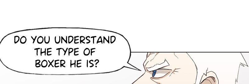 Read The Boxer (en) Manga Online