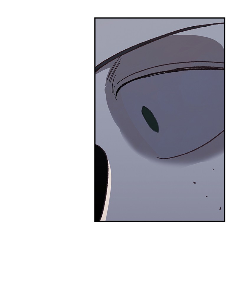 Read The Boxer (en) Manga Online