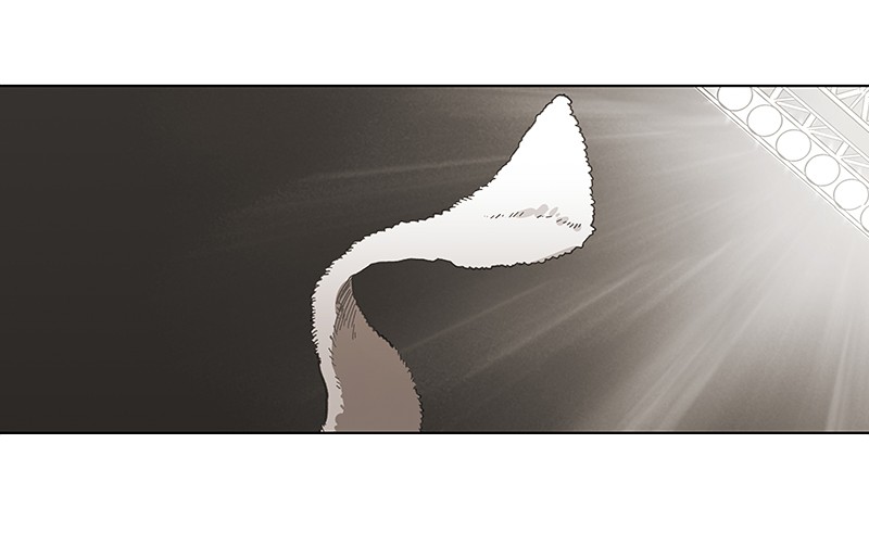 Read The Boxer (en) Manga Online