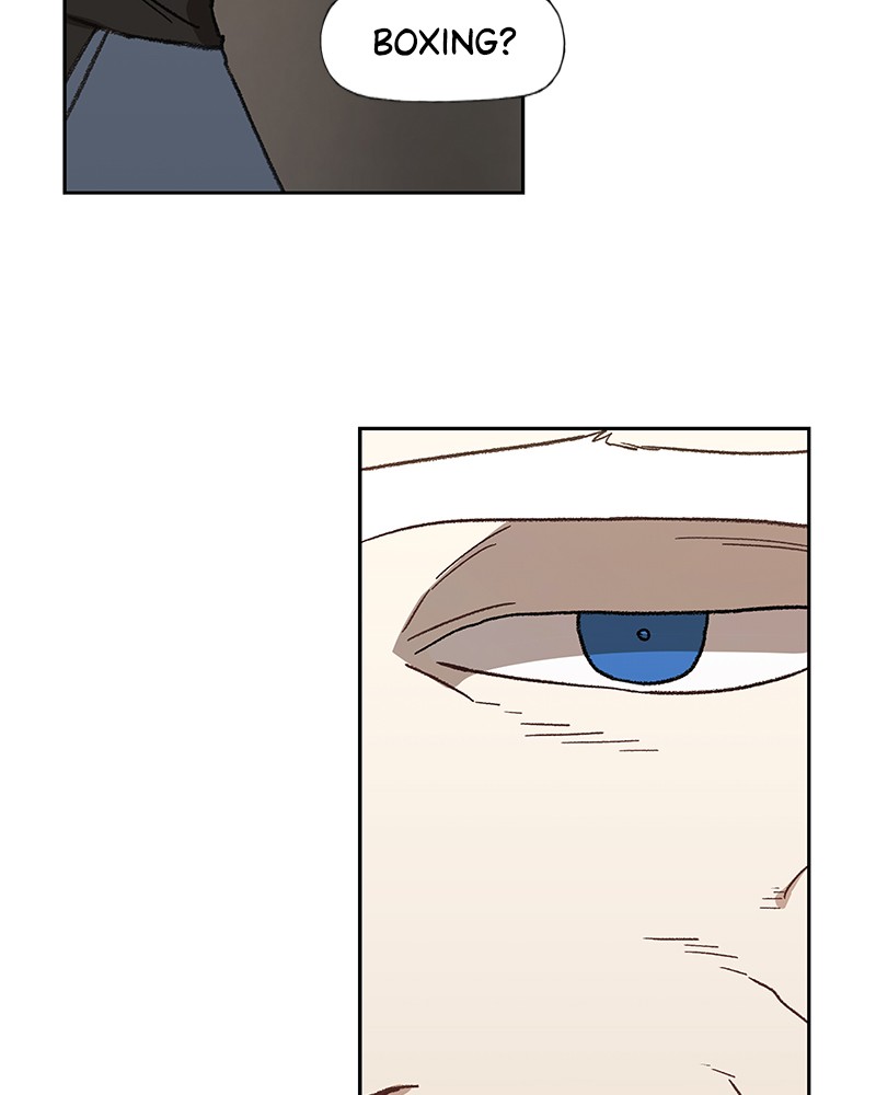 Read The Boxer (en) Manga Online